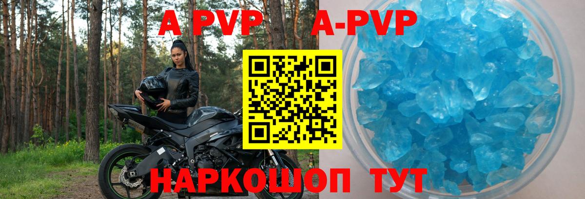 A PVP СК КРИС Кохма
