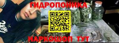 a pvp Кандалакша