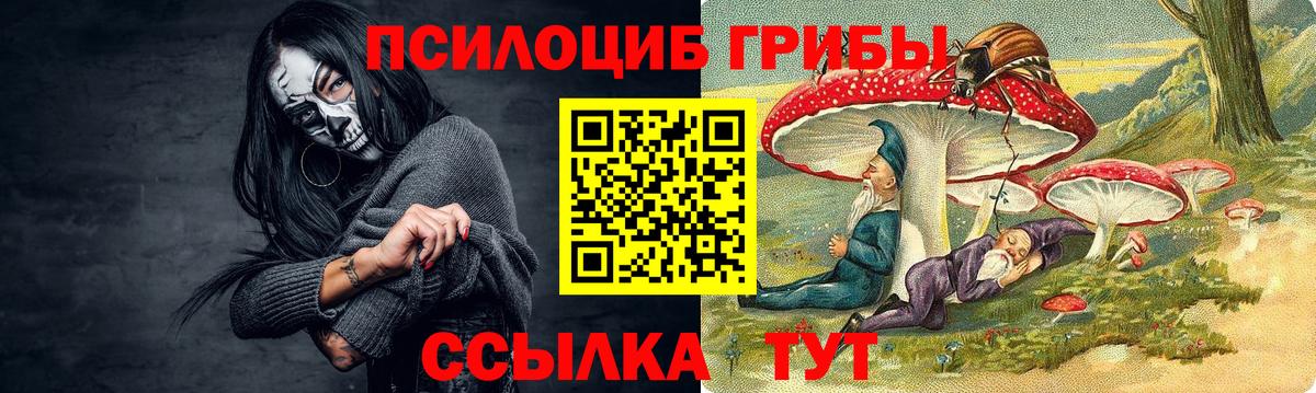 Псилоцибиновые грибы GOLDEN TEACHER  Псилоцибиновые грибы ЛСД  Кохма  купить наркоту  Вход с VPN 
