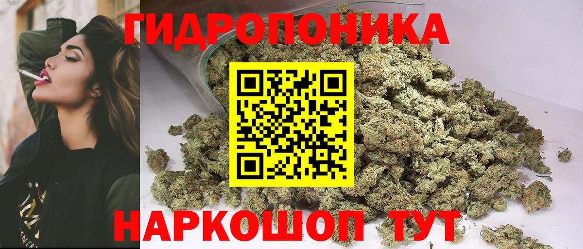 Конопля Ganja  Конопля сатива  Шишки марихуана тримм  Вход с VPN  Кохма 